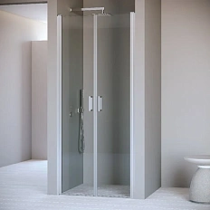 Душевая дверь в нишу RGW Passage PA-104 060810412-1 120 см распашная