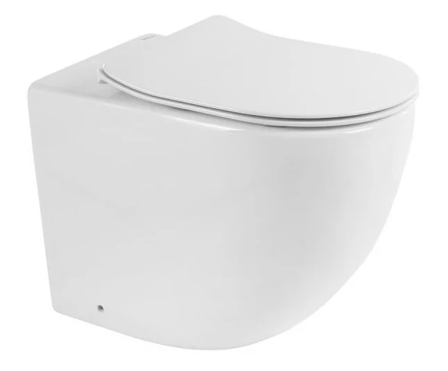 Унитаз напольный BelBagno Sfera-R безободковый BB2141CBR (детальная фотография), современные, hi-tech, круглые