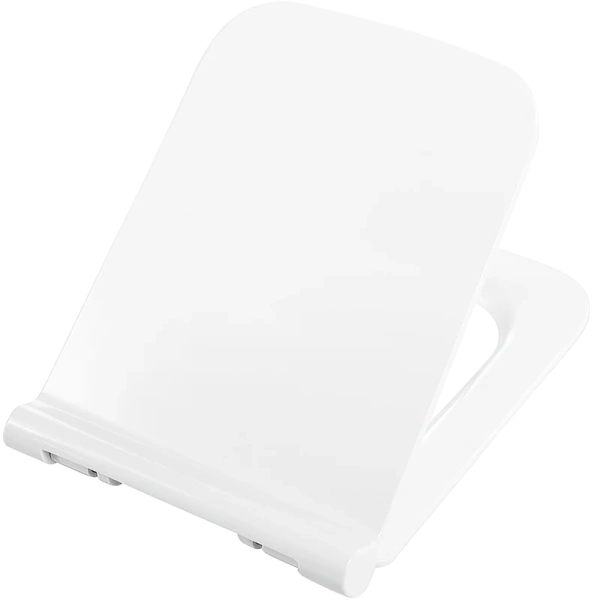 Крышка-сиденье с микролифтом BelBagno Romano быстросъемная BB2112SC (детальная фотография)