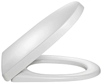 Крышка-сиденье для унитаза Jacob Delafon Odeon Up петли хром