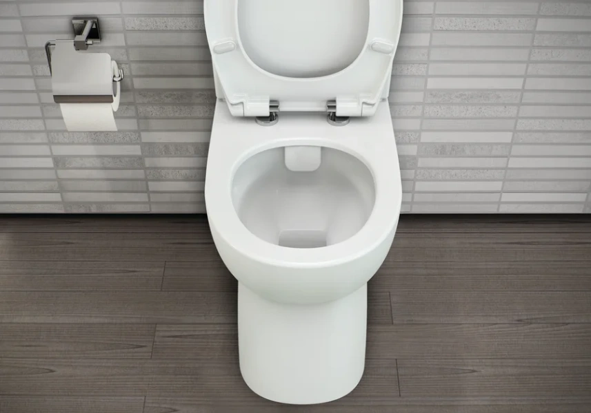 Унитаз-компакт Vitra S.Needs для людей с ограниченными возможностями 9832B003-7204 (детальная фотография), напольные