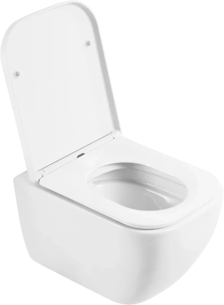 Крышка-сиденье с микролифтом BelBagno Alpina быстросъемная BB309SC (детальная фотография), в наличии index_1