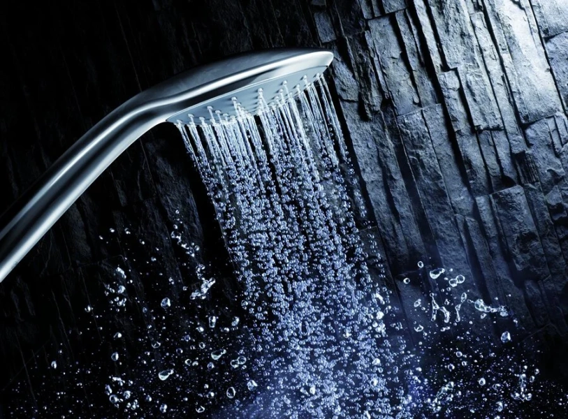 Душевая лейка Grohe Euphoria 27222000 (детальная фотография), душевые лейки index_1