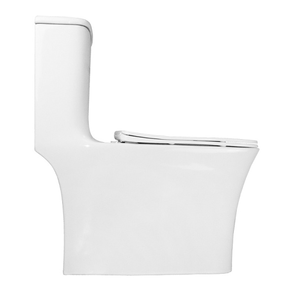 Унитаз моноблок Azario Gressa AZ-1111 с сиденьем (детальная фотография), фаянс, керамика