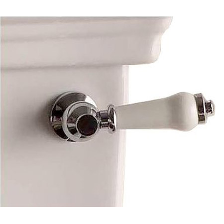 Ручка для бачка, цвет белый, фурнитура хром, Devon&Devon IB1042CPM (детальная фотография)