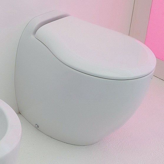 Унитаз напольный ArtCeram Blend BLV002 (детальная фотография), приставные, встраиваемые