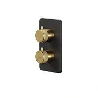 Смеситель Allen Brau Priority 5.31213-31GB для ванны и душа, термостатический, с внутренней частью, цвет черный/золото