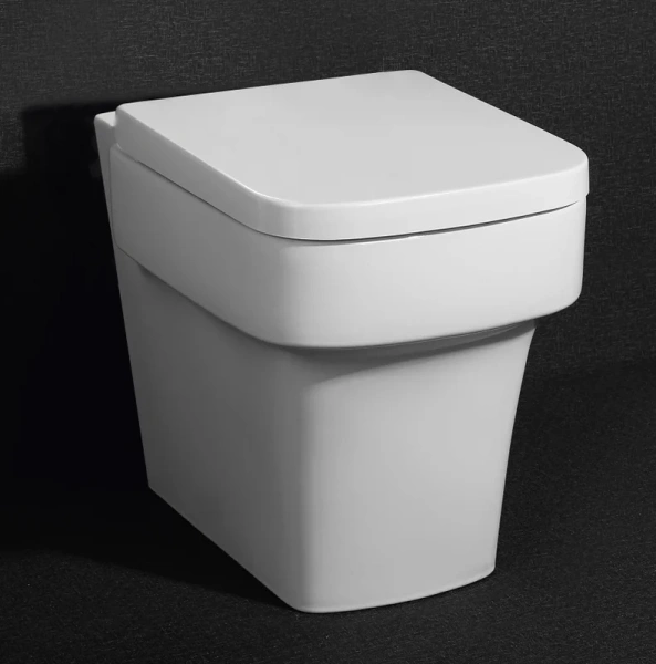 Крышка-сиденье BelBagno Janice с микролифтом BB124SC (детальная фотография), в наличии