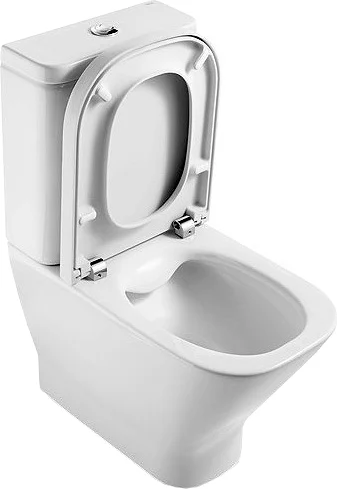 Крышка-сидение Roca The Gap петли хром 801730004 (детальная фотография) index_1