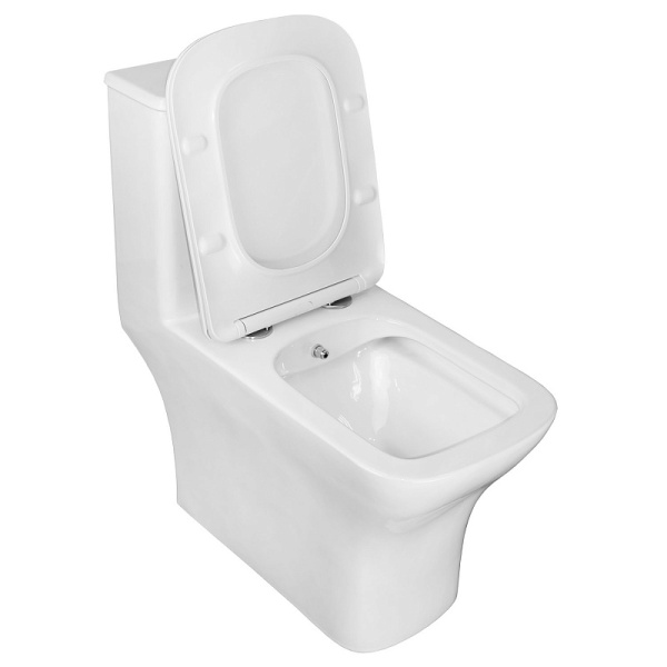 Унитаз моноблок Azario Lodi с функцией биде AZ-8617B (детальная фотография), с бачком