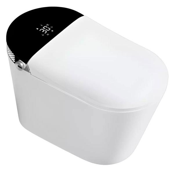 Унитаз напольный Timo с функцией биде TE-741B (детальная фотография)