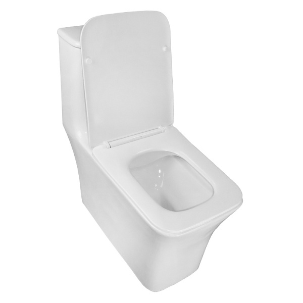 Унитаз моноблок Azario Gressa AZ-1111 с сиденьем (детальная фотография), напольные