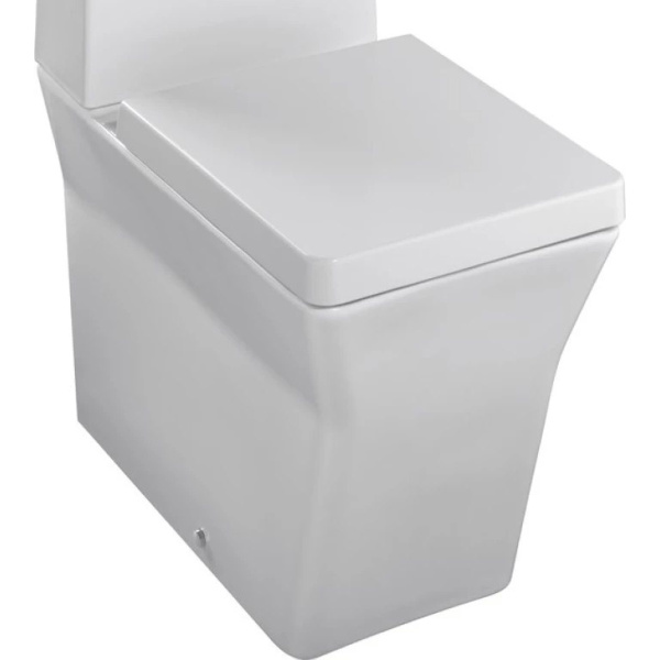 Чаша напольного унитаза Jacob Delafon Reve с сиденьем микролифт 5033K-00 (детальная фотография)