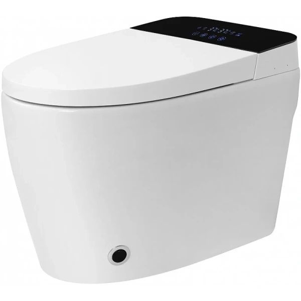 Унитаз напольный Abber Bequem с функцией биде AC1116S (детальная фотография)