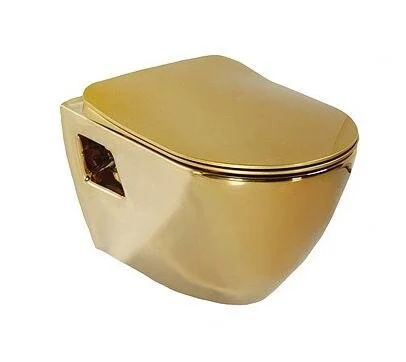 Унитаз подвесной Creavit Terra золото TP325-11CB00E-AK00 (детальная фотография)