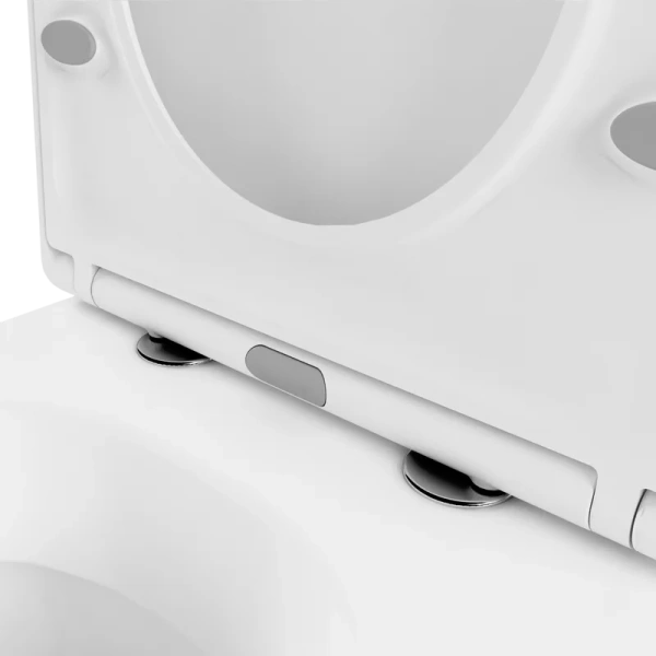 Унитаз напольный Lavinia Boho Bristol с сиденьем микролифт 33050030 (детальная фотография) index_1