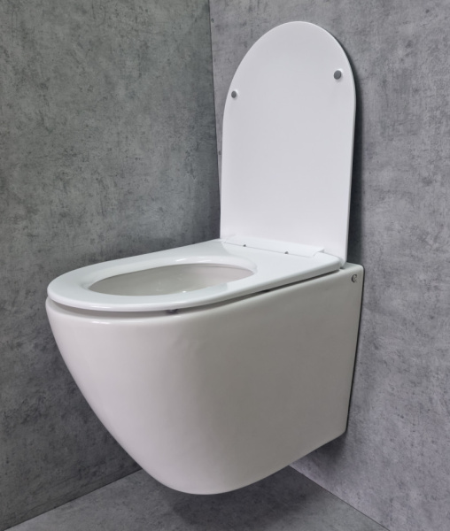 Унитаз подвесной Ceramalux N белый TR2196 (детальная фотография), недорогие, безободковые, сиденье с микролифтом 