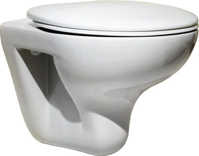 Крышка-сидение Roca Mateo белая ZRU9302815 (детальная фотография) index_1