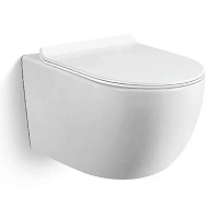 Унитаз подвесной Black&White Universe безободковый