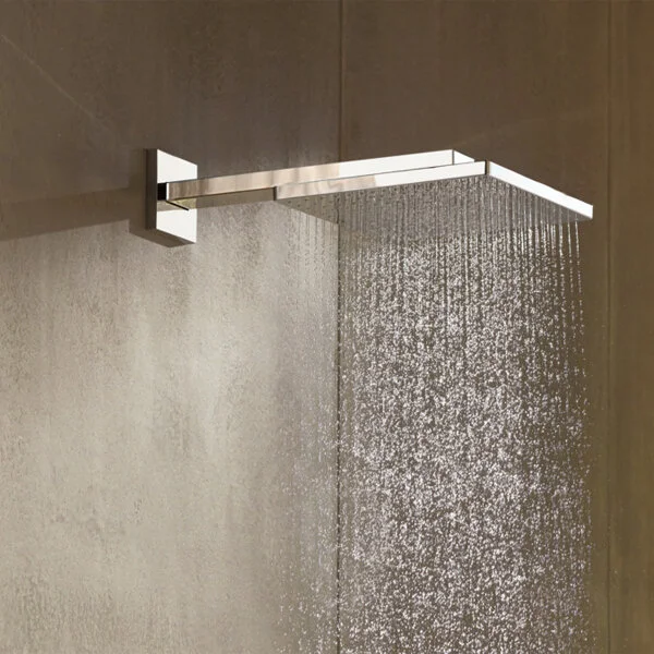 Верхний душ Hansgrohe Raindance E 26238 с держателем (детальная фотография), хром, бронзовые, золотые, белые, черные, другие