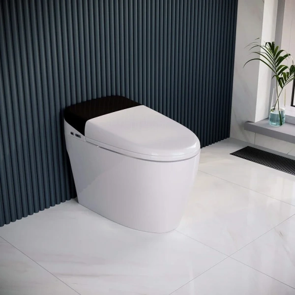 Унитаз напольный RGW SW-31 с функцией биде 63420131-01 (детальная фотография), приставные