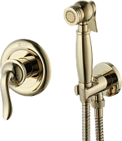 Гигиенический душ, золото Lemark Brava LM4719G