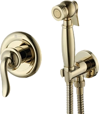 Гигиенический душ, золото Lemark Brava LM4719G