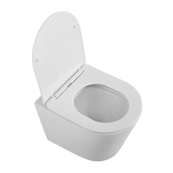 Унитаз подвесной BelBagno Flay-R с сиденьем микролифт BB053CHR/SC (детальная фотография), современные, hi-tech, круглые