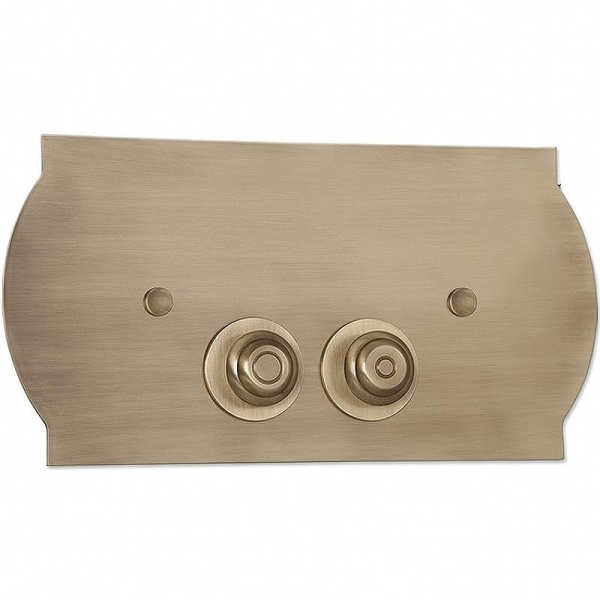 Клавиша смыва Tiffany World TW300 (детальная фотография), слив эконом-стандарт с двумя клавишами