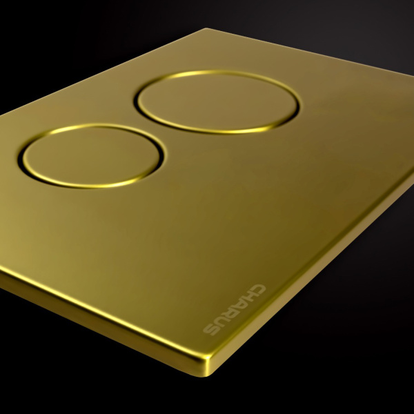 Клавиша смыва Charus Robusto брашированное золото FP.330.BG.05 (детальная фотография), слив эконом-стандарт с двумя клавишами