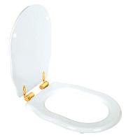 Сиденье для унитаза с микролифтом, фурнитура золото, Tiffany World Bristol
