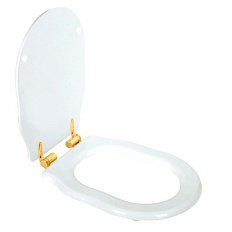 Сиденье для унитаза с микролифтом, фурнитура золото, Tiffany World Bristol