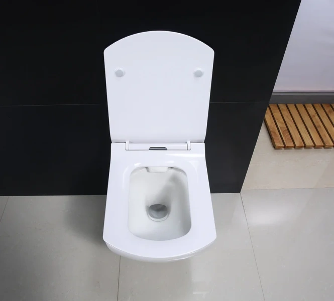 Крышка-сиденье с микролифтом BelBagno Carina жесткая BB1077SC (детальная фотография), с микролифтом