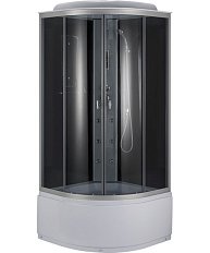 Душевая кабина Niagara Classic 100x100 см стекло тонированное