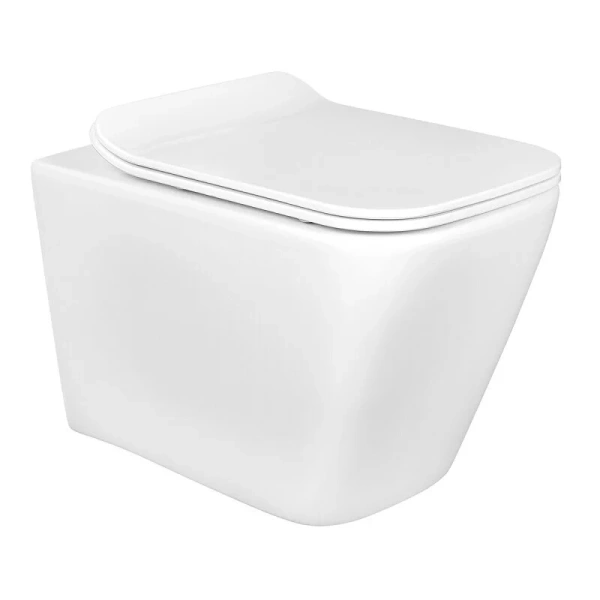 Унитаз подвесной Акватек Дельта белый AQ1911-00 (детальная фотография)