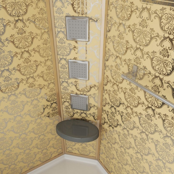 Душевая кабина Niagara Luxe 120х80 см левая 7711GL (детальная фотография), 120х80