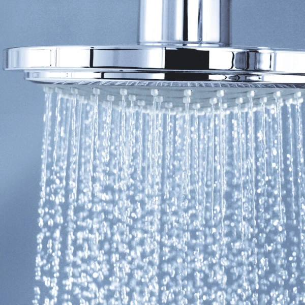 Верхний душ Hansgrohe Raindance S хром 27492000 (детальная фотография), хром index_1