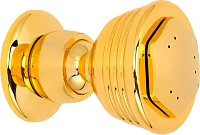 Душевая форсунка Migliore Sferica золото