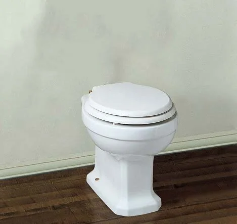 Унитаз напольный Azzurra Guinone GIU 100 (детальная фотография), без бачка, со скрытым бачком