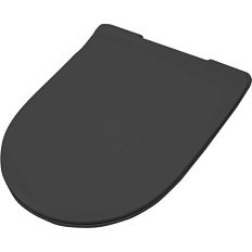 Крышка-сидение с микролифтом Artceram File 2.0 черная матовая