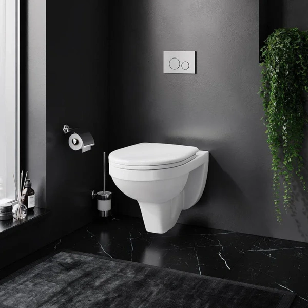 Унитаз подвесной Damixa Jupiter с сиденьем микролифт DX77C1738SC (детальная фотография), подвесные, встраиваемые