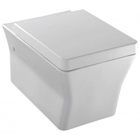 Унитаз подвесной Jacob Delafon Reve E4811-00 белый, с сиденьем микролифт (детальная фотография)