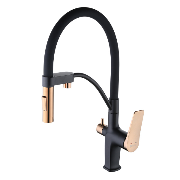 Смеситель для питьевой воды Lemark Bronx черный/золото LM3761BLR (детальная фотография)