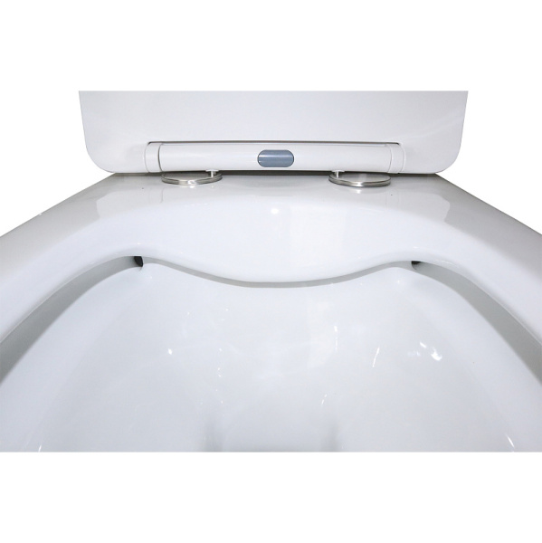 Унитаз моноблок Azario Gressa безободковый AZ-1111 (детальная фотография), безободковые, сиденье с микролифтом , с антивсплеском, моноблок, низкие