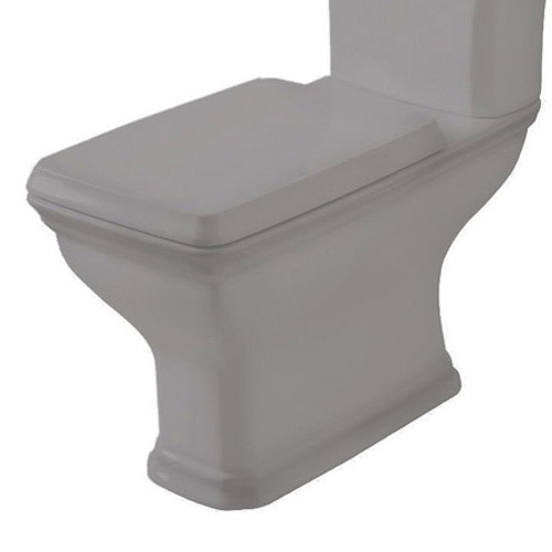 Чаша для унитаза-компакта Artceram Civitas серая CIV004 34 00 (детальная фотография)