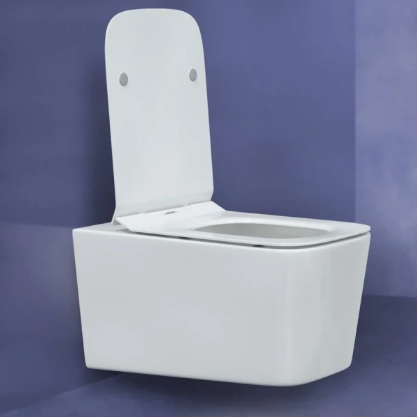 Унитаз подвесной BERGES Floe сиденье быстросъемное 082121 (детальная фотография), безободковые, сиденье с микролифтом 