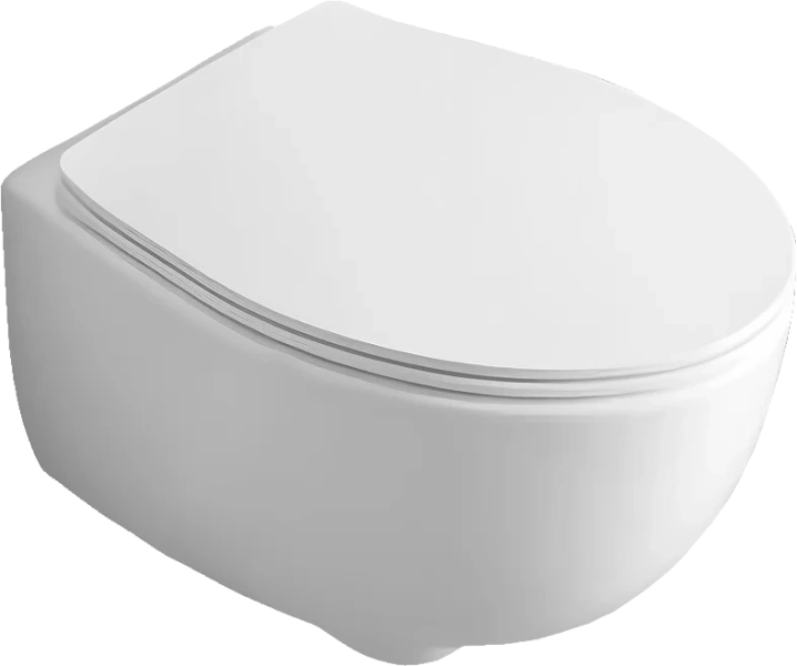 Крышка-сидение с микролифтом Simas Bormio белая BR006bi/cr (детальная фотография), в наличии