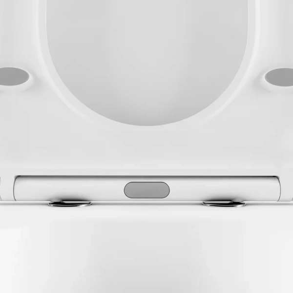 Унитаз напольный Lavinia Boho Bristol с сиденьем микролифт 33050030 (детальная фотография), приставные, встраиваемые index_1