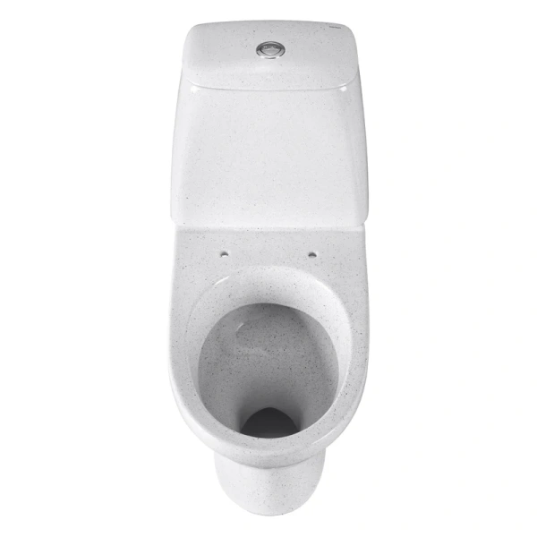 Унитаз компакт Santeri Соната крап на белом 1.P201.2.S01.00B.F (детальная фотография), современные, hi-tech, круглые