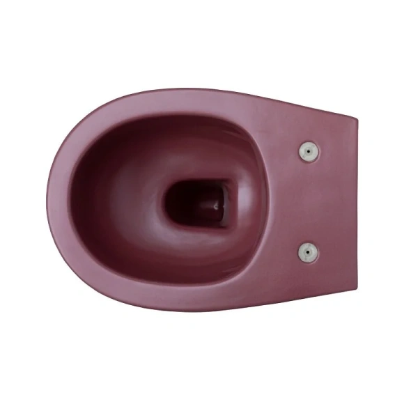 Унитаз подвесной Allen Brau Fantasy бордо 4.11004.BD (детальная фотография), цветные